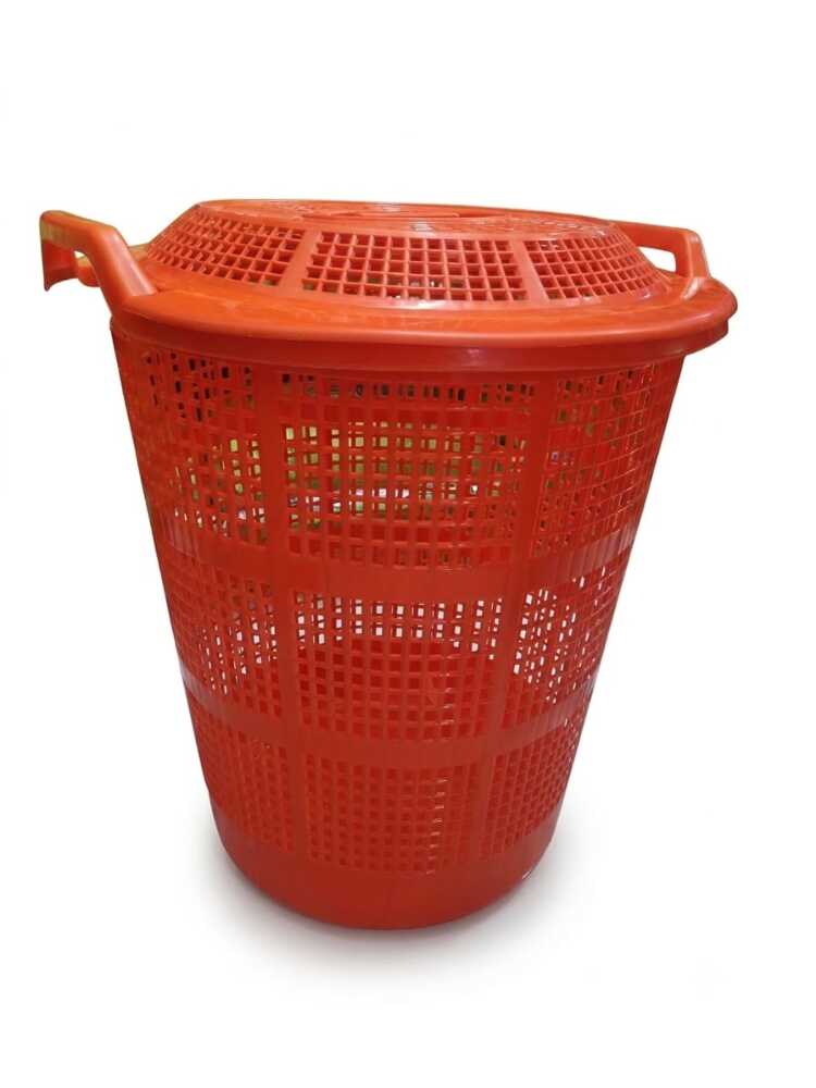 Paras Miracle Loundary Basket 1N