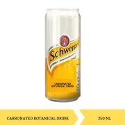 SCHWEPPES BOTANICAL DRINK 250ML