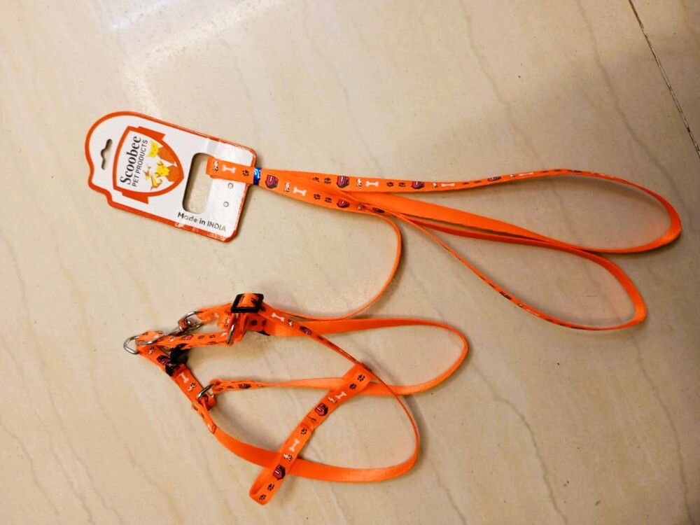 Scoobee Pet Products Mini Pet Harness Set
