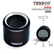 Portable Speaker Compatible with Phone, TESSCO