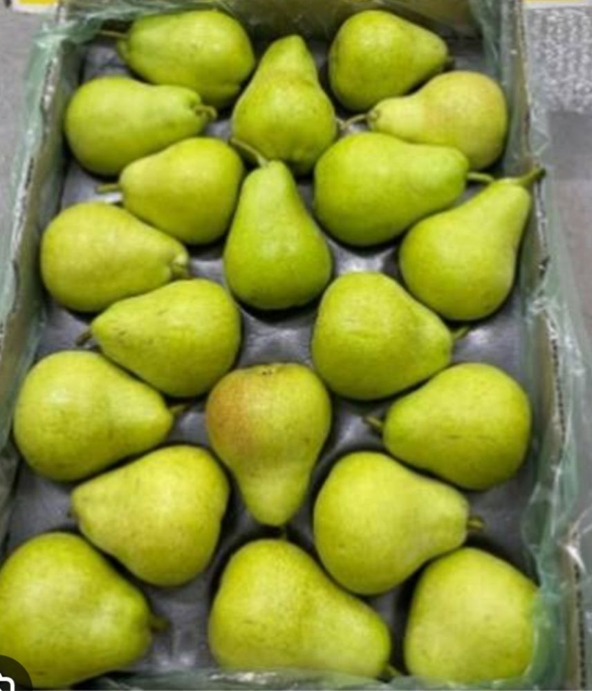 Nashpati 1 Kg