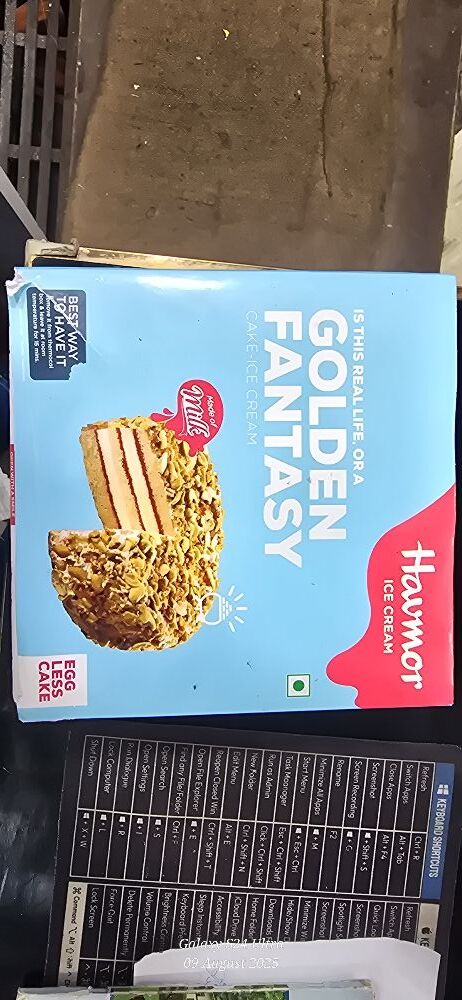 Havmore icecream
