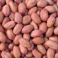 KACHI MUFALI 500G