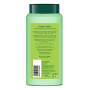 Biotique Fresh Neem Anti-Dandruff Shampoo & Conditioner, 340 ml