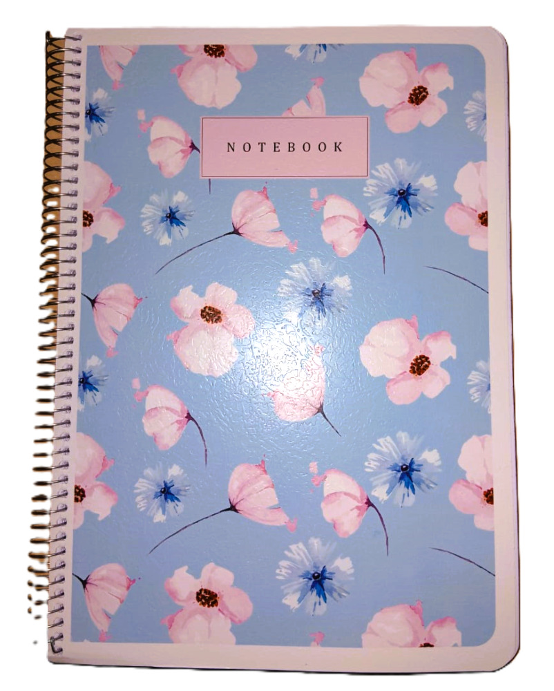Anti Ordinary Notebook 300Pages