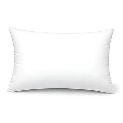 Dream Living Ultra Soft Microfiber Pillow 17*27 1N