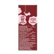 Parle Agro Smoodh Chocolate Flavoured Milk 80 ml