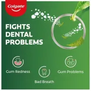 Colgate Salt Neem Toothpaste, 200 g
