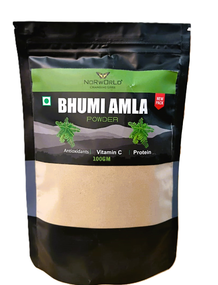 Norworld Bhumi Amla Powder Vit C Protein Antioxidants 100g