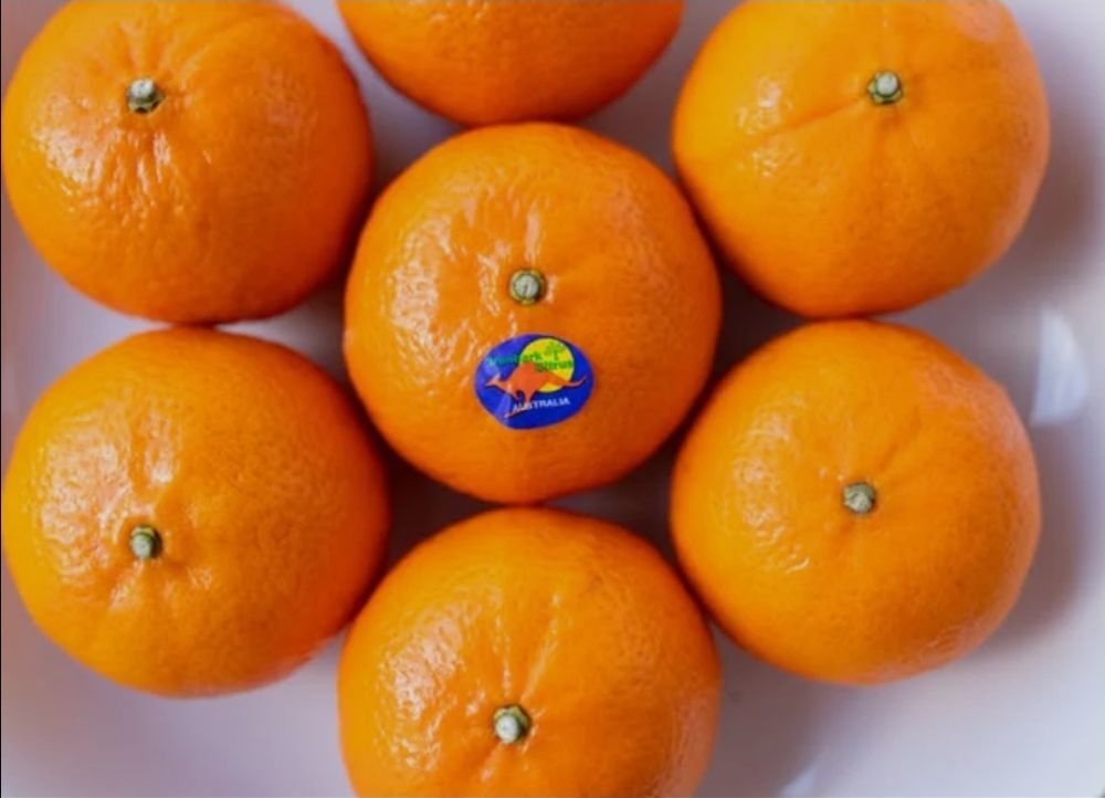 Mandarin orange imported from Australia