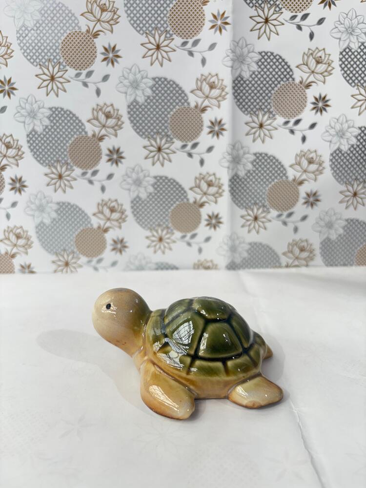 Baby Turtle Stateus 1 pcs