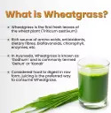 Zandu WheatGrass Health Juice, 1L