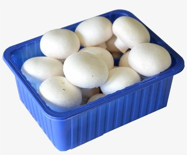 Mashroom
