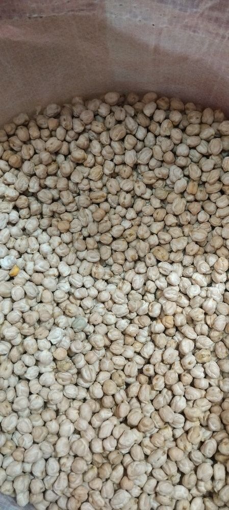 White Chana dollar 500gm