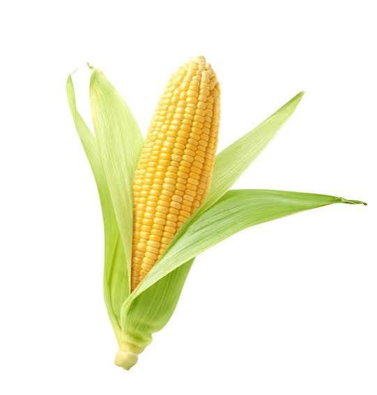 Corn (Makki) 1Pc