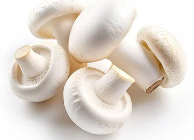 Mashroom