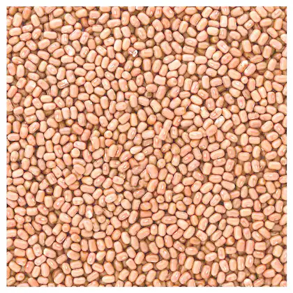 Moth Sabut Dal, 1 Kg