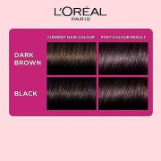 L'Oreal Paris Casting Creme Gloss Conditioning Hair Color No Ammonia - 316 Burgundy (87.5 g + 72 ml)