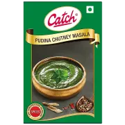 Bulk Deal - Catch Pudina Chutney Masala, 100 gm ( Pack of 10 )