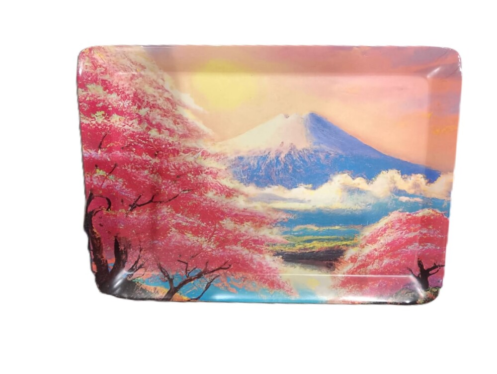 SW Assorted Color Tray
