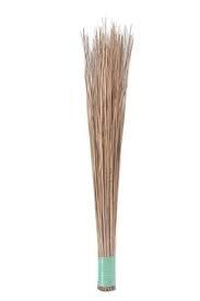 Tilli Broom