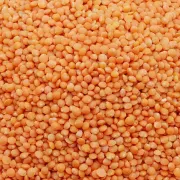 Bulk Deal - Masoor Dal Packing, 30 kg