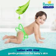 Pampers Diaper Pants For New Baby, All Round Protection, Anti-Rash Blanket, New & Improvd, 34 Pants