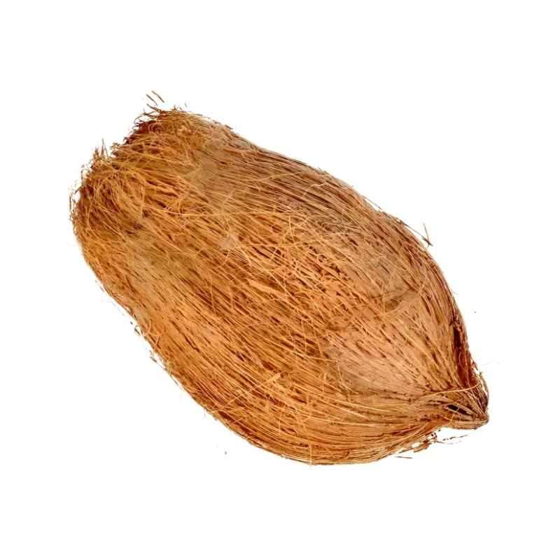 Jata Nariyal