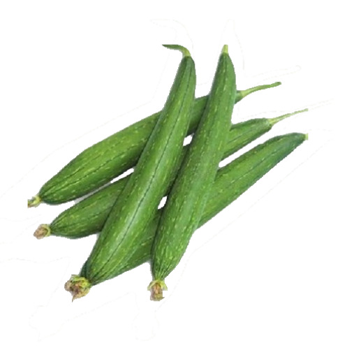 Ridge Gourd (Tori)