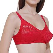 KYODO New Women's Net with Hoisery Wirefree Bra