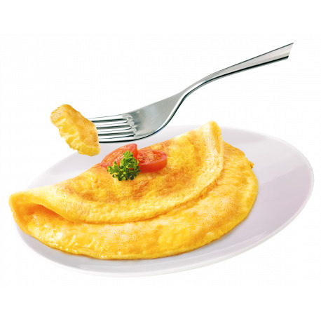 Omlette With Plain Slice