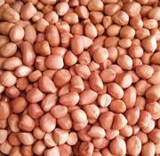 Raw Peanuts Kachi Moongfali 500g