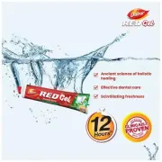 Dabur Red Gel Ayurvedic Toothpaste, 150 g