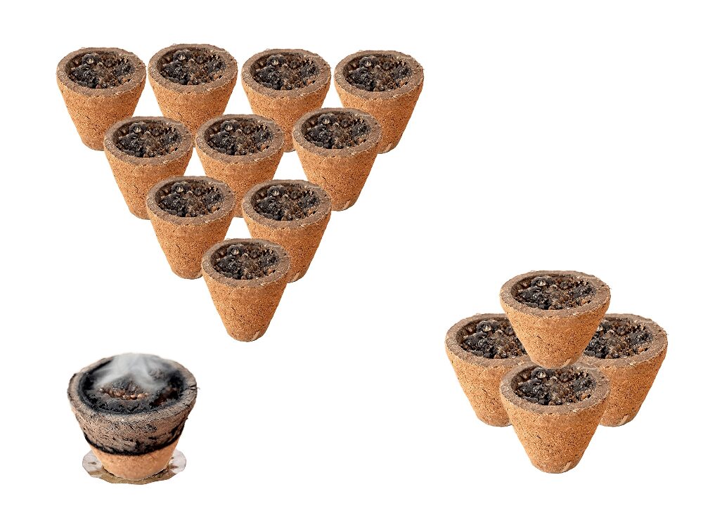 Vedic Dhuni Cups 12 Pcs