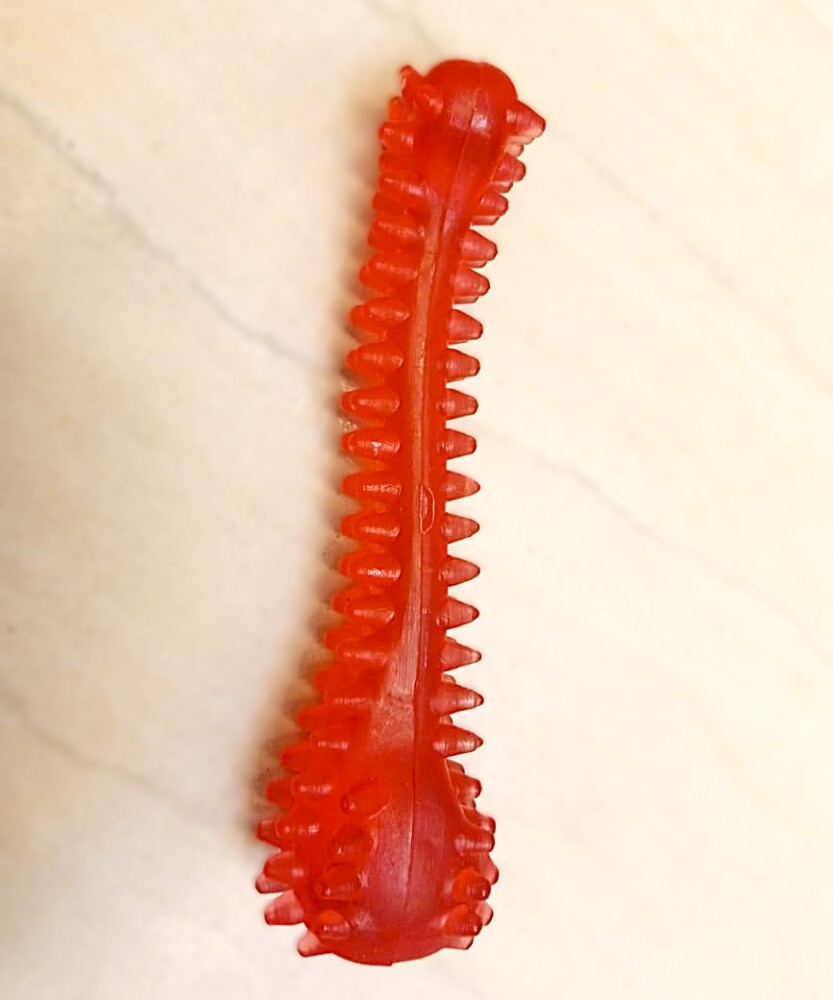 Dog Rubber Bone Toy with Spike for Small and Medium Dogs