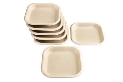 Agro Tableware 9 Inch Square Plate 25pcs
