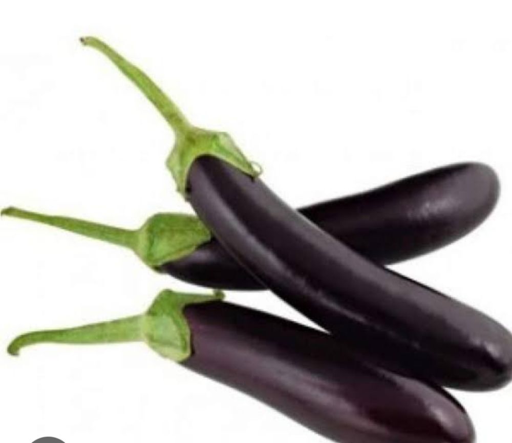 Long Brinjal (Baingan)