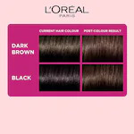 L'Oreal Paris Casting Creme Gloss Conditioning Hair Color No Ammonia - 300 Darkest Brown (87.5 g + 72 ml)