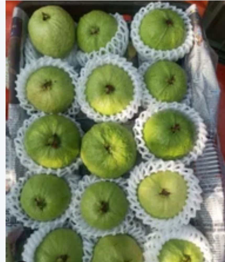Guava Imported