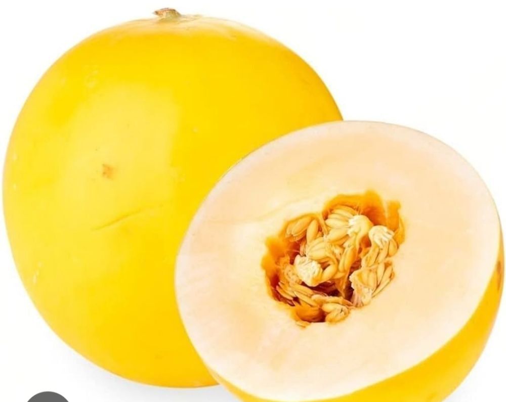 Melon ( sharda )