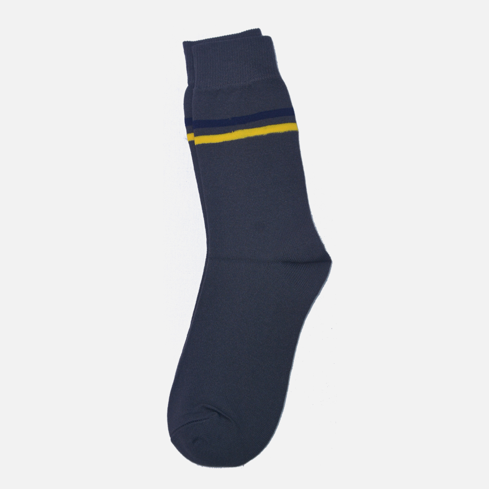 Shimla Public School Grey Socks Short Length