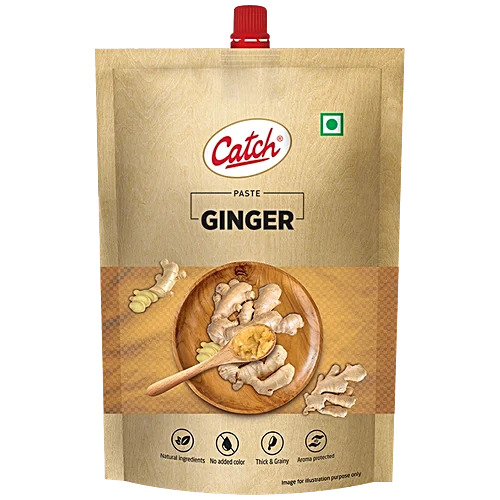 Catch Ginger Paste 100gm
