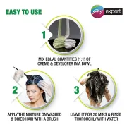Godrej Expert Rich Creme Hair Colour 20ml + 20g, Burgundy