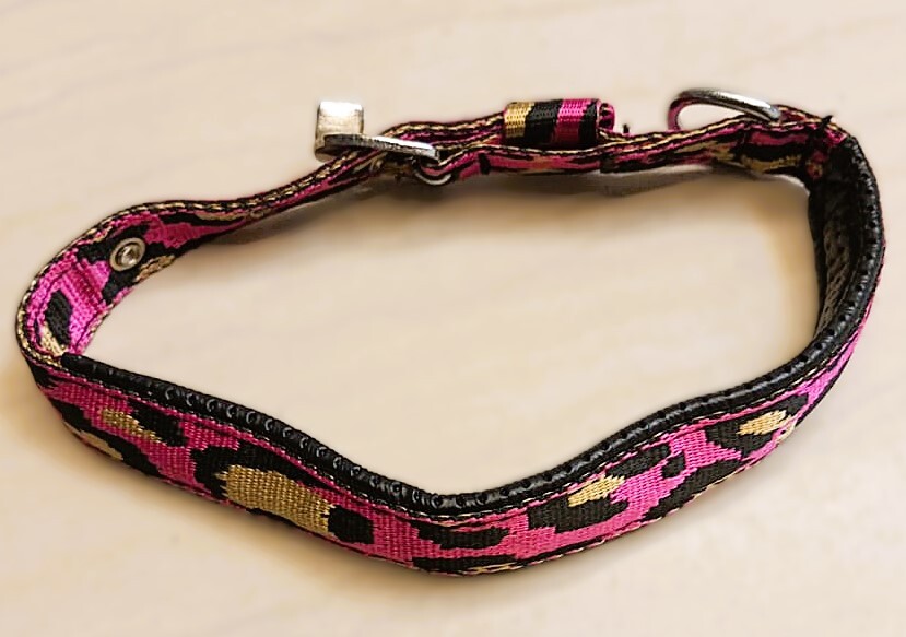 Safe & Snug Dog Collar
