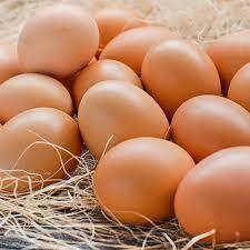 Egg Tym Any Time Is Egg Tym Hi-Pro Brown Eggs, 12pcs