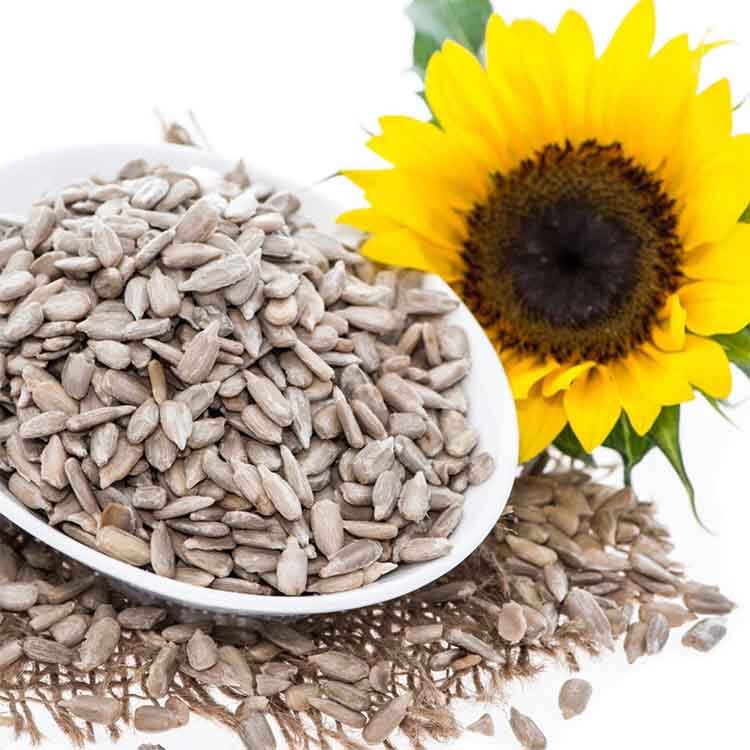 Sun flower Seed's 250G