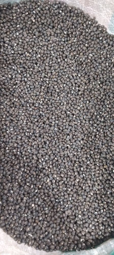 Urad sabut 1kg