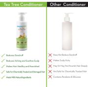 Mamaearth Tea Tree Conditioner with Tea Tree and Ginger Oil for Dandruff Free Hair 250ml