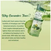 Biotique Bio Cucumber Pore Tightening Toner With Himalayan Waters, 120 ml