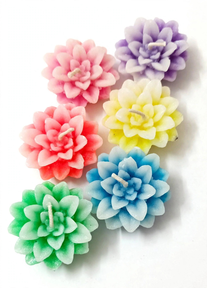 SR Premium Multicolour Lotus Flower Diya Gift Set of 6